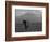 Elephant, Mt. Kilimanjaro, Masai Mara National Park, Kenya-Peter Adams-Framed Photographic Print