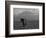 Elephant, Mt. Kilimanjaro, Masai Mara National Park, Kenya-Peter Adams-Framed Photographic Print