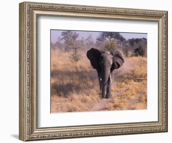 Elephant, Okavango Delta, Botswana-Gavriel Jecan-Framed Photographic Print