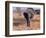 Elephant, Okavango Delta, Botswana-Gavriel Jecan-Framed Photographic Print