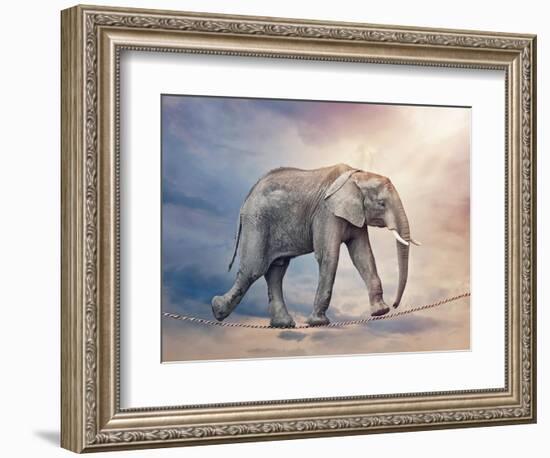 Elephant On A Tightrope-egal-Framed Premium Giclee Print