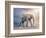 Elephant On A Tightrope-egal-Framed Premium Giclee Print