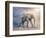 Elephant On A Tightrope-egal-Framed Premium Giclee Print