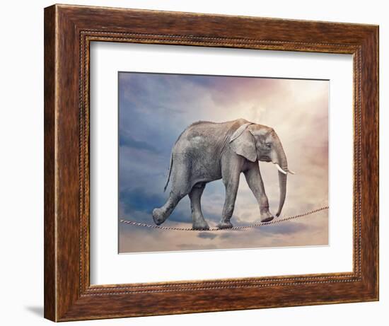 Elephant On A Tightrope-egal-Framed Premium Giclee Print