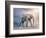 Elephant On A Tightrope-egal-Framed Premium Giclee Print