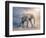 Elephant On A Tightrope-egal-Framed Premium Giclee Print