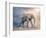 Elephant On A Tightrope-egal-Framed Premium Giclee Print