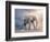 Elephant On A Tightrope-egal-Framed Premium Giclee Print