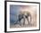 Elephant On A Tightrope-egal-Framed Art Print