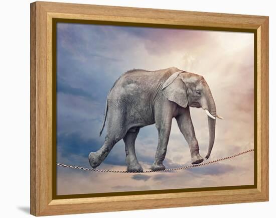 Elephant On A Tightrope-egal-Framed Stretched Canvas