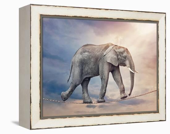 Elephant On A Tightrope-egal-Framed Stretched Canvas