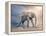 Elephant On A Tightrope-egal-Framed Stretched Canvas