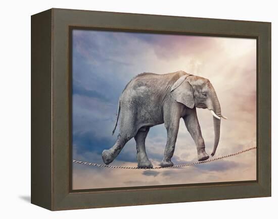 Elephant On A Tightrope-egal-Framed Stretched Canvas