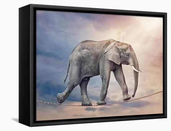 Elephant On A Tightrope-egal-Framed Stretched Canvas