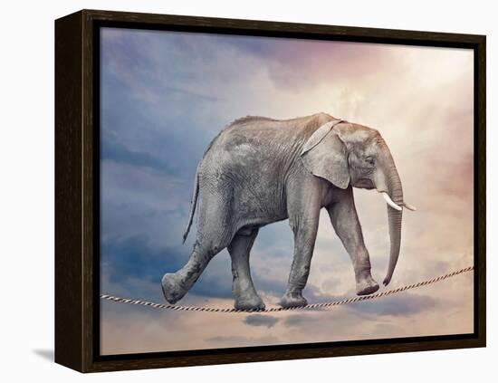 Elephant On A Tightrope-egal-Framed Stretched Canvas