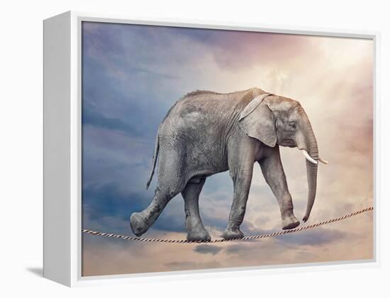 Elephant On A Tightrope-egal-Framed Stretched Canvas