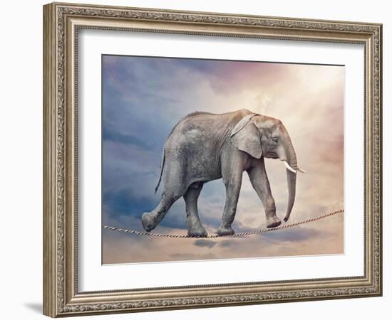 Elephant On A Tightrope-egal-Framed Art Print