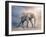 Elephant On A Tightrope-egal-Framed Art Print