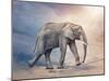 Elephant On A Tightrope-egal-Mounted Art Print