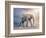 Elephant On A Tightrope-egal-Framed Art Print