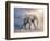 Elephant On A Tightrope-egal-Framed Art Print