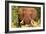 Elephant on Alert-Kathy Mansfield-Framed Art Print