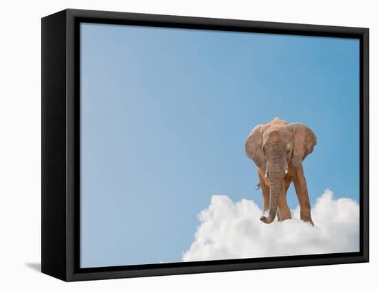 Elephant On Cloud In Sky, Outdoor-Aaron Amat-Framed Premier Image Canvas