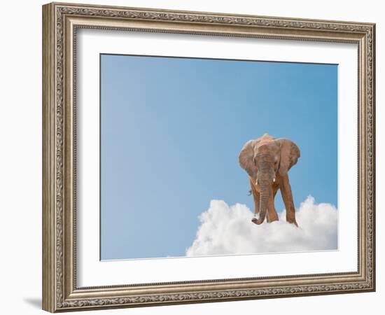 Elephant On Cloud In Sky, Outdoor-Aaron Amat-Framed Photographic Print