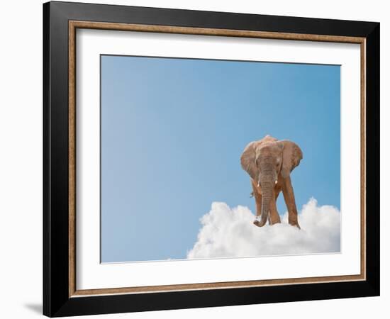 Elephant On Cloud In Sky, Outdoor-Aaron Amat-Framed Photographic Print
