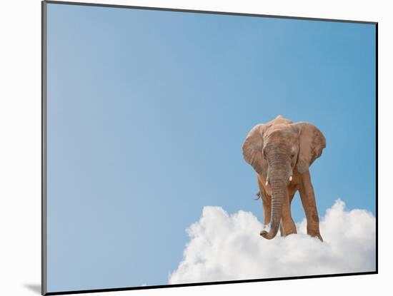 Elephant On Cloud In Sky, Outdoor-Aaron Amat-Mounted Photographic Print