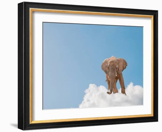 Elephant On Cloud In Sky, Outdoor-Aaron Amat-Framed Photographic Print