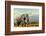 Elephant on Kilimajaro Mount Background in National Park of Kenya, Africa-Volodymyr Burdiak-Framed Photographic Print