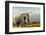 Elephant on Kilimajaro Mount Background in National Park of Kenya, Africa-Volodymyr Burdiak-Framed Photographic Print