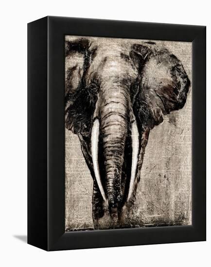 Elephant on Newspaper-Patricia Pinto-Framed Stretched Canvas