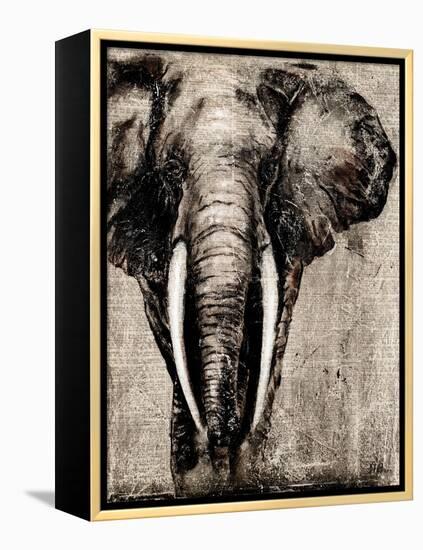 Elephant on Newspaper-Patricia Pinto-Framed Stretched Canvas