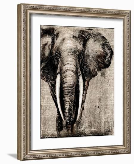 Elephant on Newspaper-Patricia Pinto-Framed Art Print