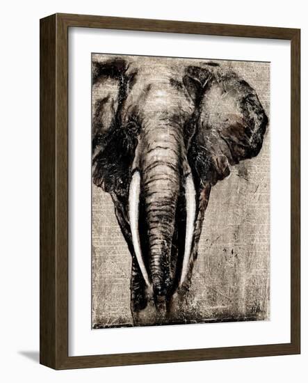 Elephant on Newspaper-Patricia Pinto-Framed Art Print