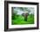 Elephant on Safari, Mizumi Safari Park, Tanzania, East Africa, Africa-Laura Grier-Framed Photographic Print