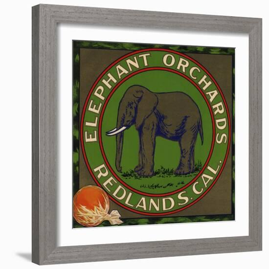 Elephant Orchards Brand - Redlands, California - Citrus Crate Label-Lantern Press-Framed Premium Giclee Print