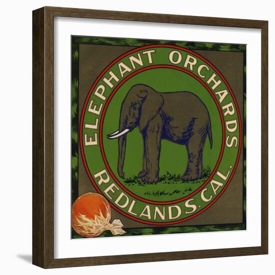 Elephant Orchards Brand - Redlands, California - Citrus Crate Label-Lantern Press-Framed Art Print