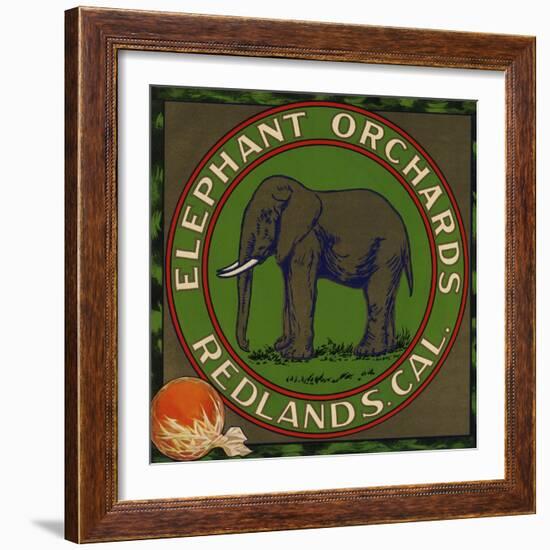 Elephant Orchards Brand - Redlands, California - Citrus Crate Label-Lantern Press-Framed Art Print