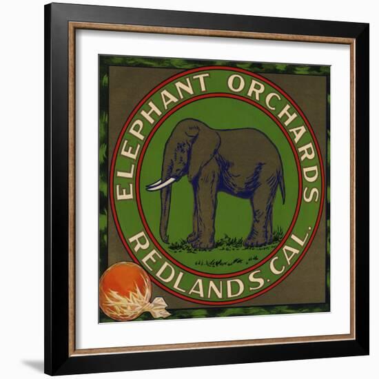 Elephant Orchards Brand - Redlands, California - Citrus Crate Label-Lantern Press-Framed Art Print