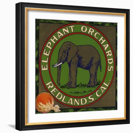 Elephant Orchards Brand - Redlands, California - Citrus Crate Label-Lantern Press-Framed Art Print