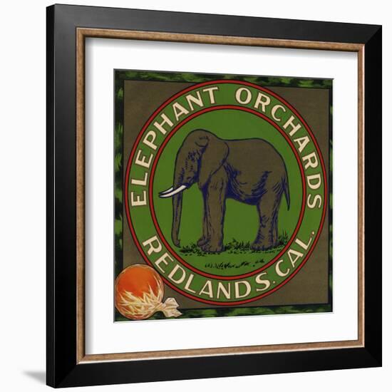 Elephant Orchards Brand - Redlands, California - Citrus Crate Label-Lantern Press-Framed Art Print