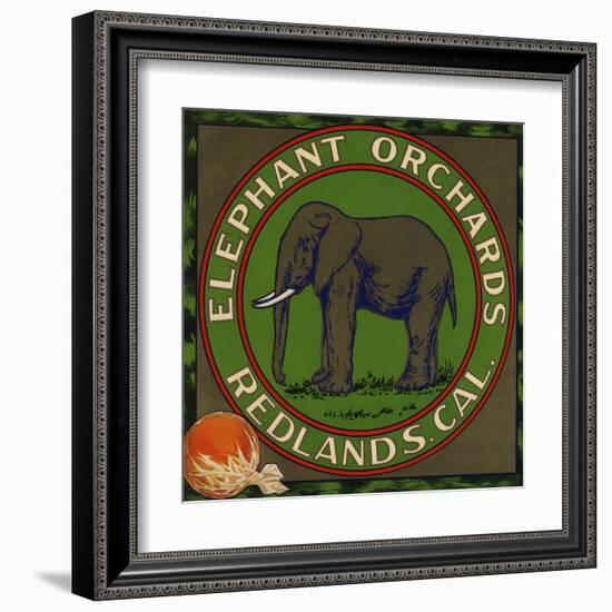 Elephant Orchards Brand - Redlands, California - Citrus Crate Label-Lantern Press-Framed Art Print