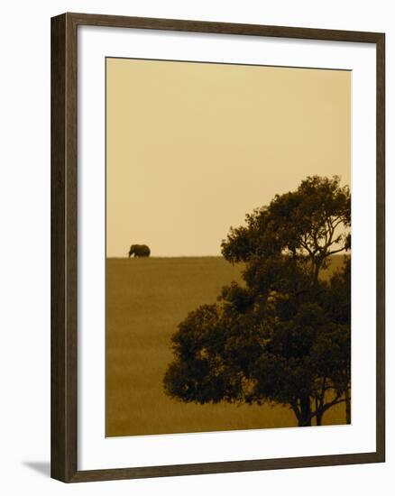Elephant Pack III-Susan Bryant-Framed Photo