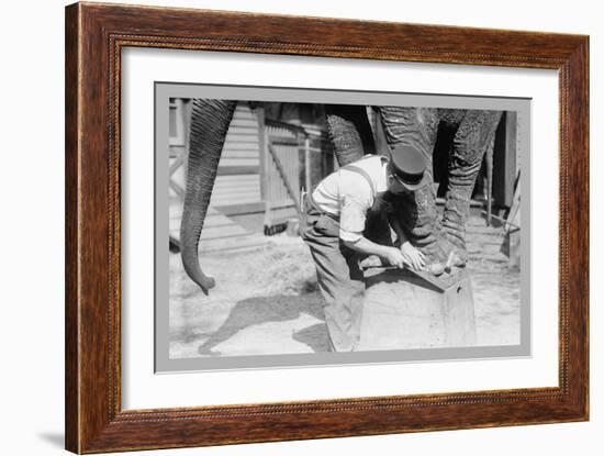 Elephant Pedicure-null-Framed Premium Giclee Print