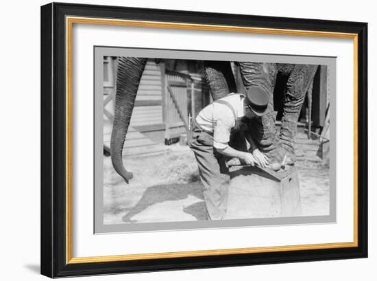 Elephant Pedicure-null-Framed Premium Giclee Print