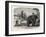 Elephant Ploughing in Ceylon, Sri Lanka-null-Framed Giclee Print