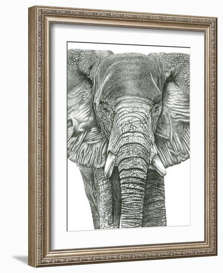 Elephant Portrait-Lucy Francis-Framed Giclee Print